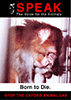 Click to download