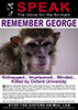 Click to download